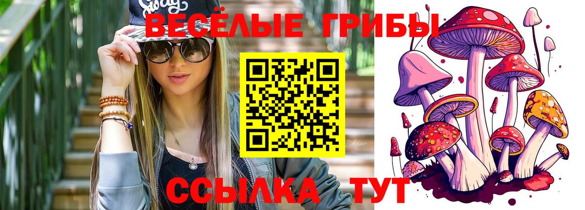 Галлюциногенные грибы Psilocybine cubensis Горячий Ключ
