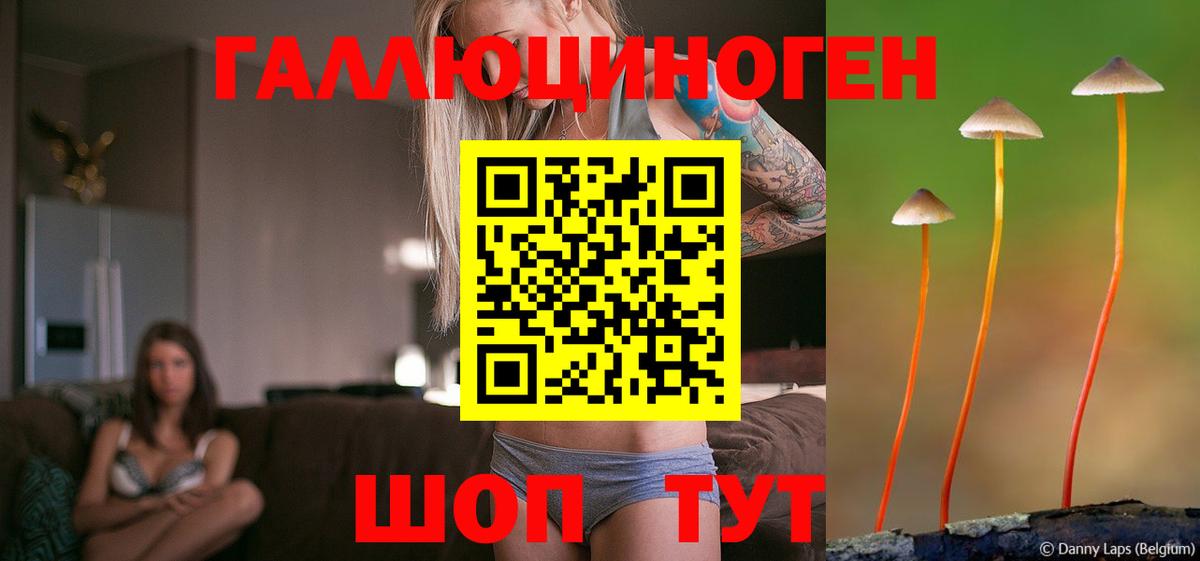 Галлюциногенные грибы мицелий  Псилоцибиновые грибы прущие грибы  Вход с VPN  Горячий Ключ 